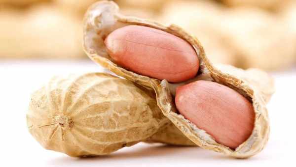 Загадка арахісу: корисний чи шкідливий для організму? Арахіс для дітей, вагітних, його калорійність і властивості