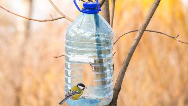 Як зробити годівницю для птахів з п'ятилітрової пластикової пляшки?