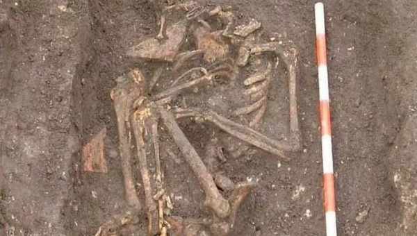 У Красноярському краї знайшли останки невпізнаної істоти