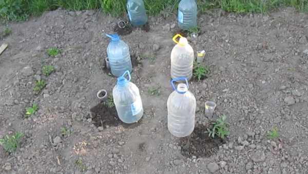 Як зробити полив з пластикової пляшки