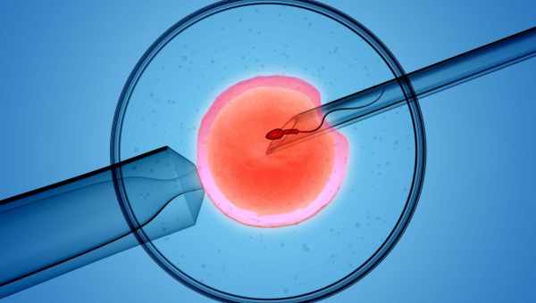 Проведення процедури штучного запліднення