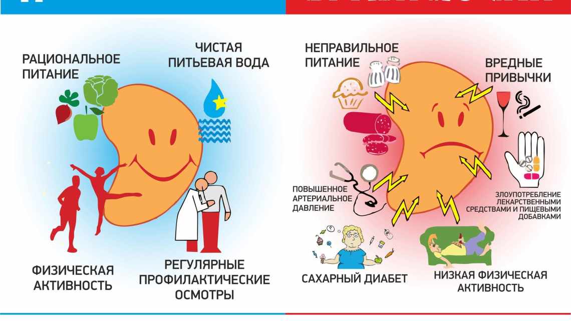 Вплив індометацину на роботу нирок