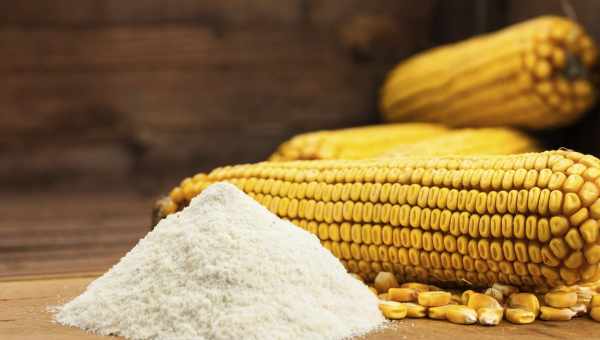 Цілющі властивості борошна з кукурудзи