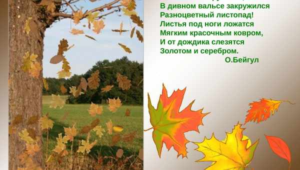 До чого сниться осінь: рання чи пізня, красива чи жахлива? Основні тлумачення різних сонників - до чого сниться осінь