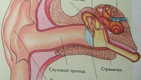 Як промивати вухо перекисом водню, не пошкодивши перепонку? Чи можна чистити вухо перекисом і чи не небезпечно це для організму?