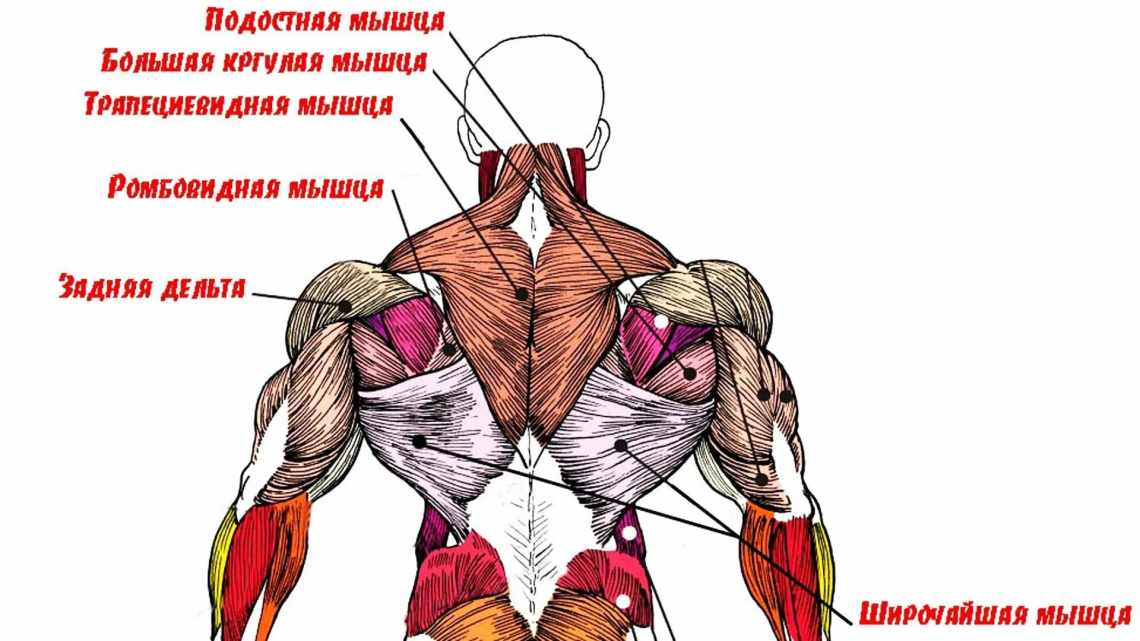 Як накачати плечі в домашніх умовах