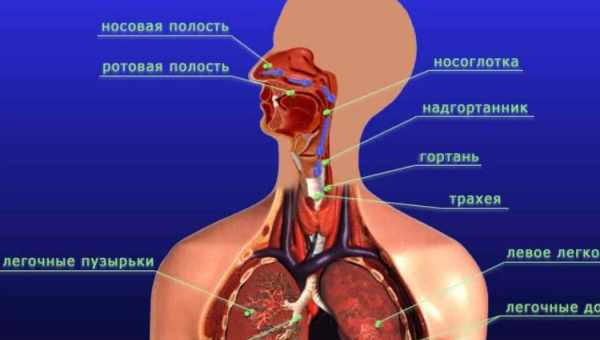 Ігри для дітей при захворюваннях дихальної системи