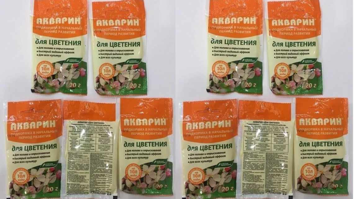 Бурштинова кислота для орхідей: особливості, правила приготування та використання