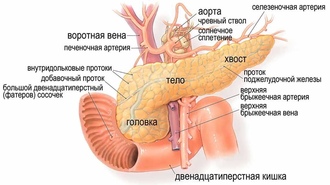 Дієта під час панкреатиту підшлункової залози