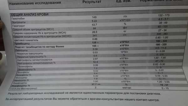 Ферритін у крові у жінок: норма і патологія