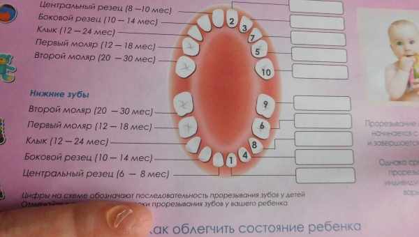 Прорізування зубів у дітей до року і старше