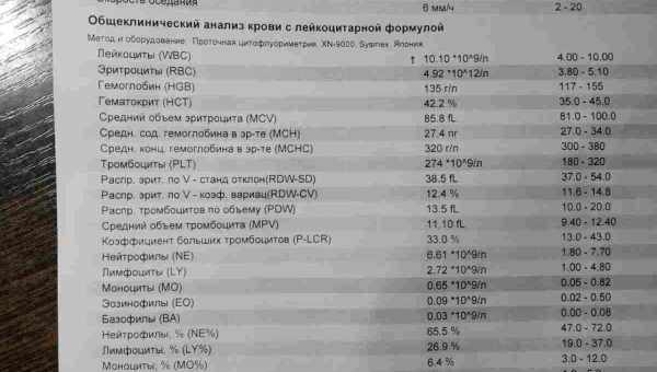 Норма wbc в аналізі крові у жінок