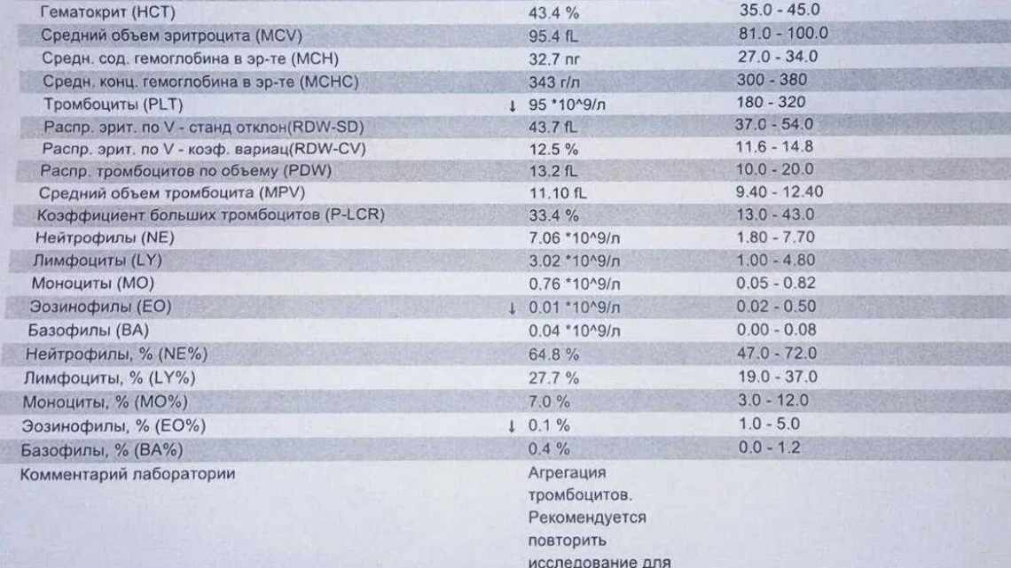 Моноцити: їх норма в крові у жінок, а також причини зниження рівня