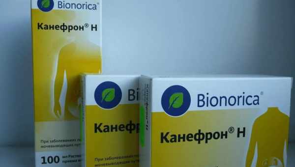 Канефрон при вагітності