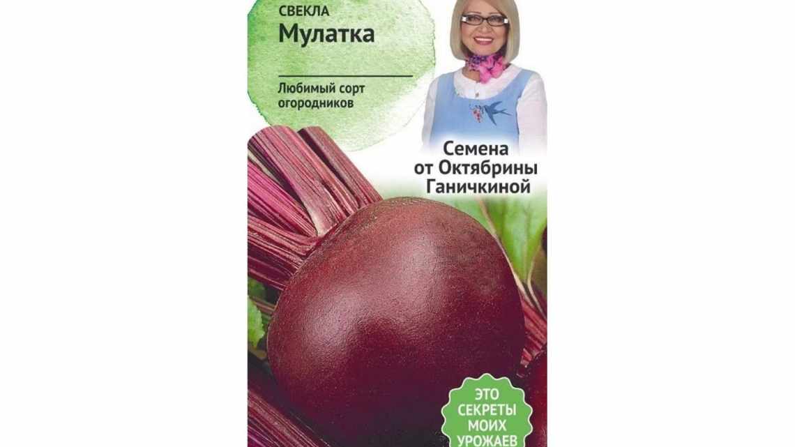 Опис сорту буряка мулатка