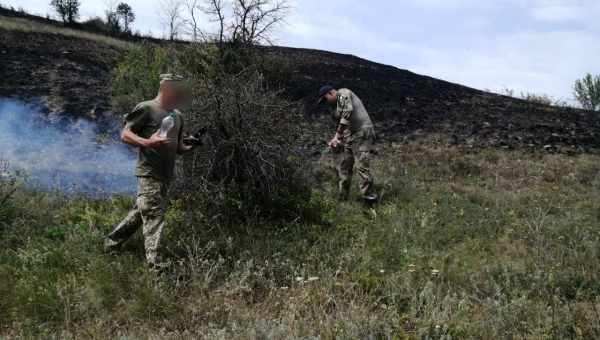 Самопоїдання виявилося зброєю боротьби гігантських водоростей з колишніми грибами