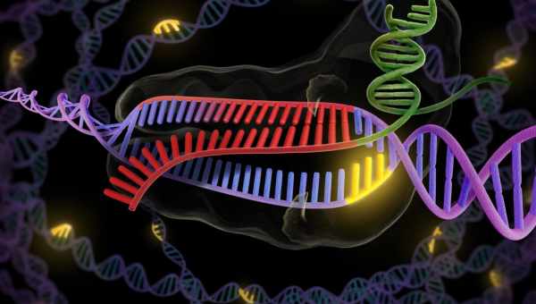 Тест на коронавірус на основі CRISPR/Cas видасть результат за п'ять хвилин