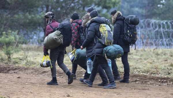 Терміни нерестової міграції чавичі пов'язали з єдиною генетичною ділянкою