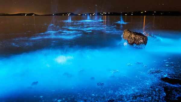 Канадці створили води тканину, що світиться і не боїться