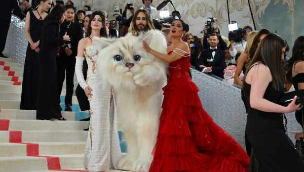 Найрозкішніші коштовності зірок на Met Gala різних років