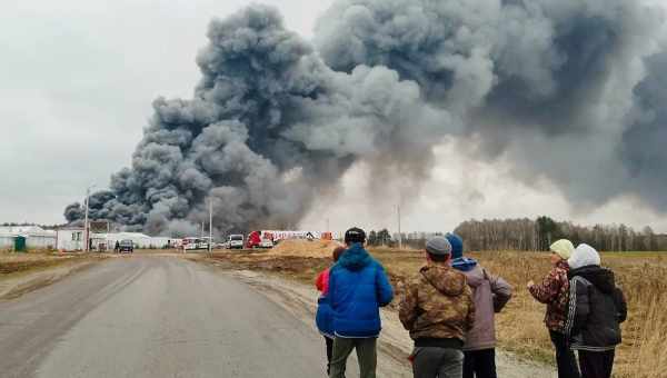 У Брянську навала кусачих мошок