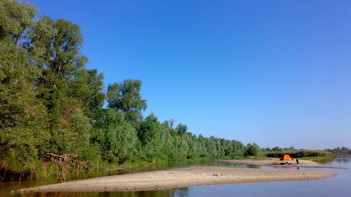 В українській річці Десна спіймали невпізнану «» волохату «» рибу