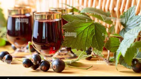 Вино з червоної смородини: основні етапи приготування плодово-ягідних вин. Рецепти домашніх вин з червоної смородини