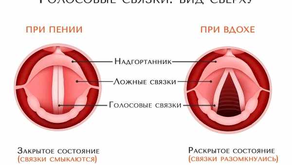 Грудний голос