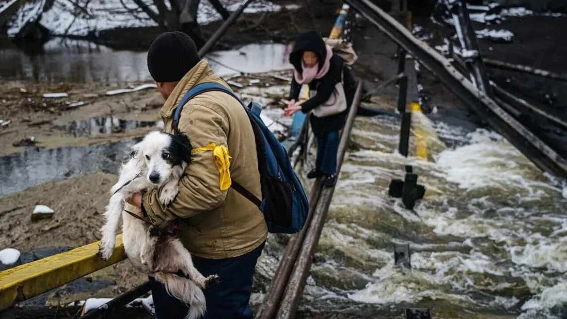 Пом'якшення проблеми, як пом'якшити проблему