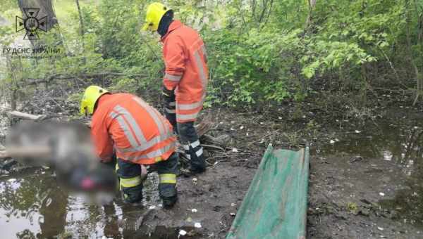 Засіб профілактики шрамів знайшли в волосяних цибулинах