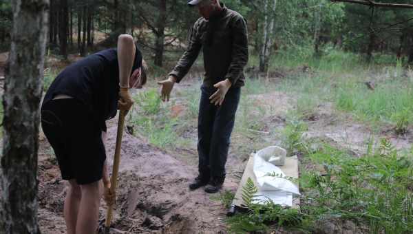 У воронів знайшли здатність планувати справи на завтра