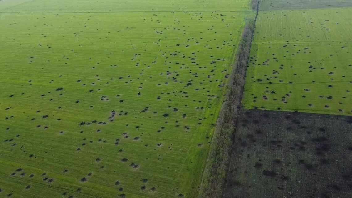 Примітки Мілтона на полях творів Шекспіра дізналися за почерком