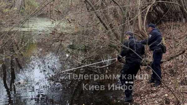 Небезпека близькоспоріднених шлюбів виявилася переоціненою