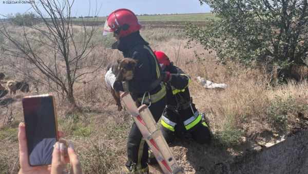 Як вибратися з глибокої ями, не маючи під рукою нічого: відеогайд