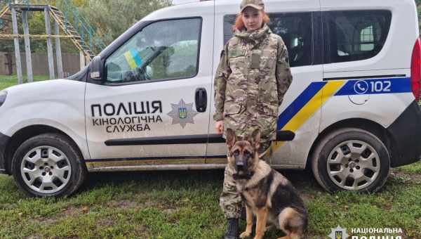 Собака допоміг господареві штовхати машину в повінь: відео