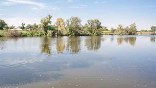 На Плутоні були річки з рідкого азоту