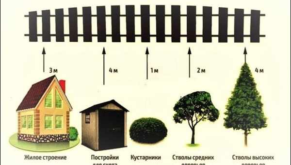 Від атомів до древа: Введення в сучасну науку про життя