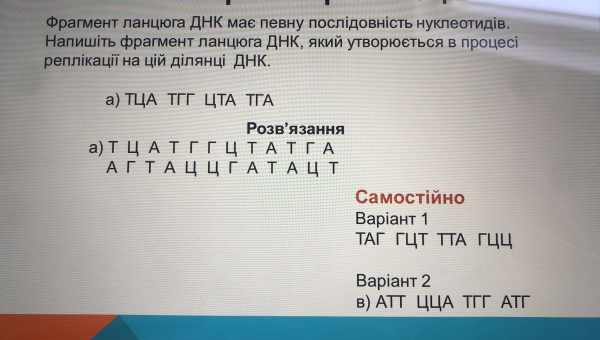 Робоминога допомогла змоделювати локомоцію хребетних