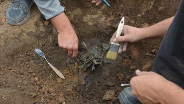 Археологи виявили в Мексиці наконечник списа культури Кловіс