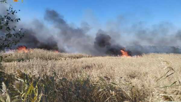 Пожежі звели нанівець кліматичний ефект від скорочення вирубки лісів у Бразилії