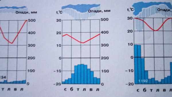 Моделювання клімату за дві тисячі років не знайшло періодів глобального потепління до XX століття