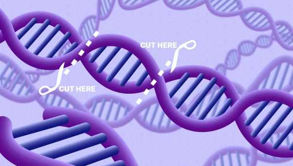 Технологію редагування генома CRISPR зробили безпомилковою