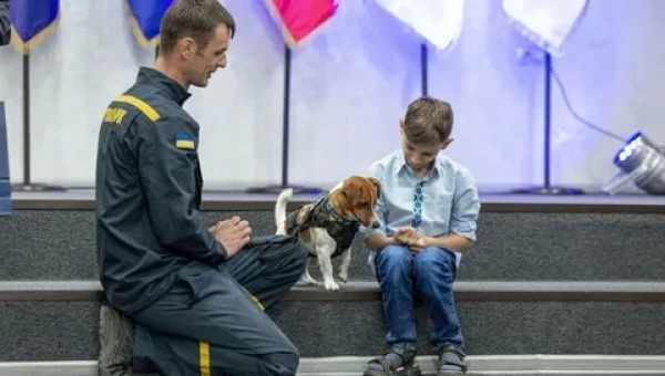 Травоїдні постраждали від людей сильніше хижаків