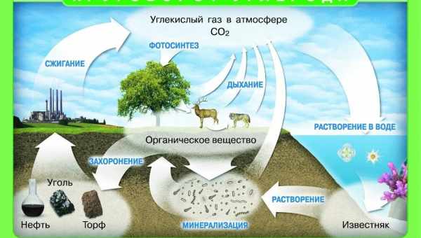 Роль вуглекислого газу у формуванні марсіанських ярів підтвердили експериментально