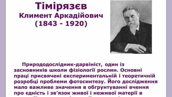 Біологи виміряли інерцію людської думки