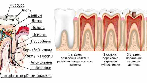 Що таке фіссура і чому її обов'язково потрібно дуже ретельно чистити: цікавий факт про ваше тіло