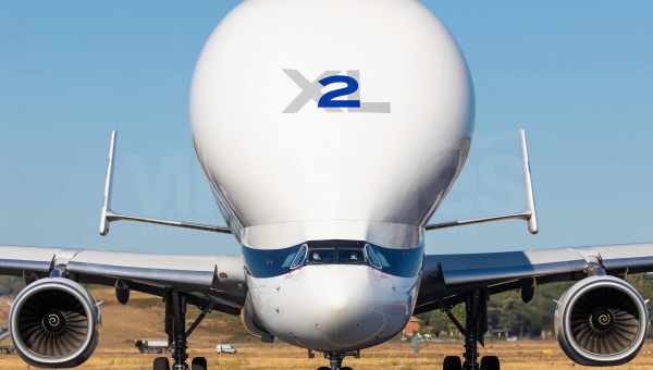 Airbus Beluga XL: історія найбільшого літака у світі