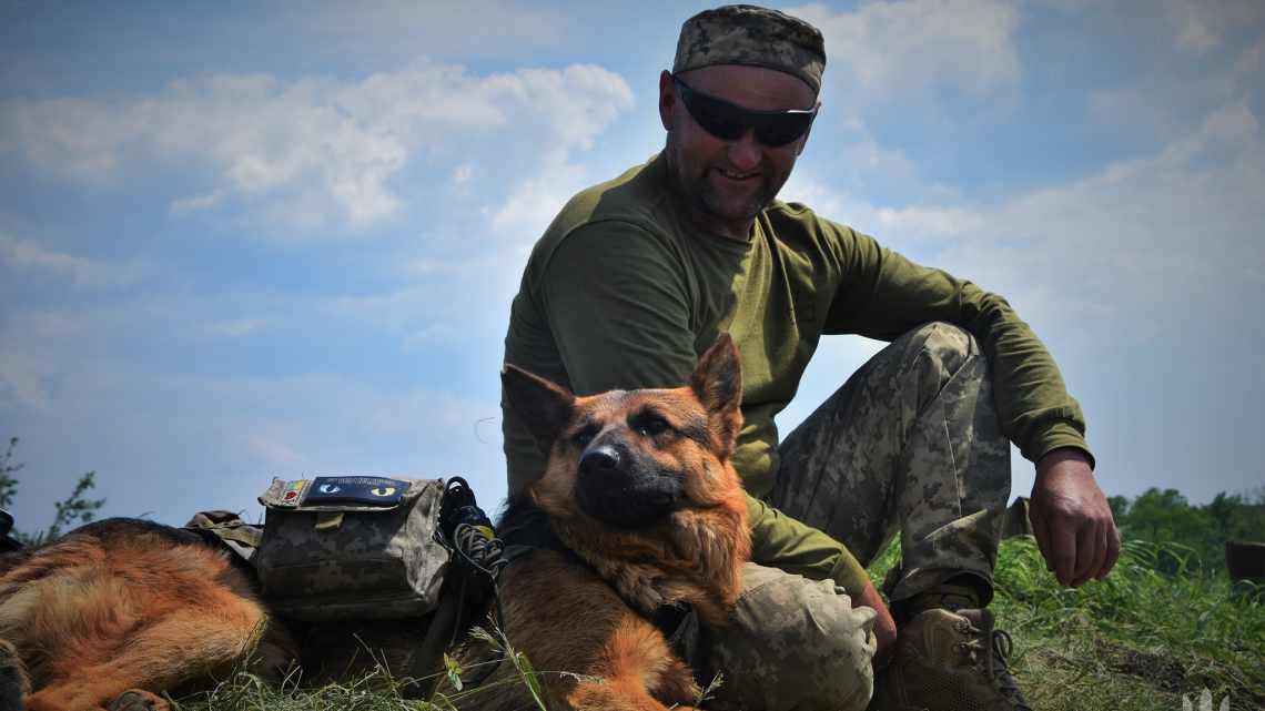 Ці чотири риси влучно описують інтернет-тролів: думка психологів