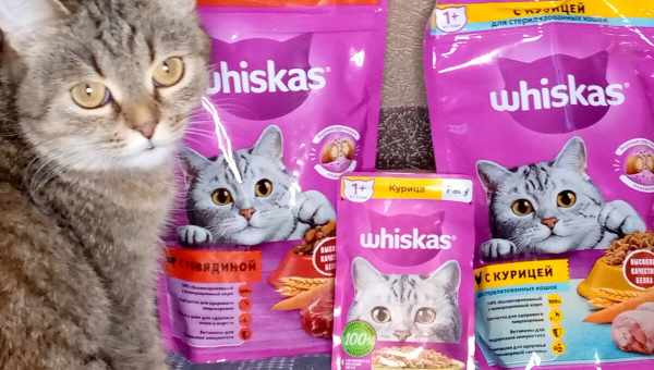 Whiskas для стерилізованих кішок і кастрованих котів