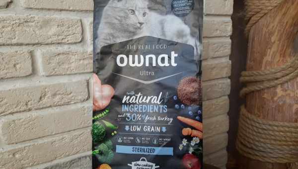 Огляд вологих кормів для кішок і котів Purina Pro Plan